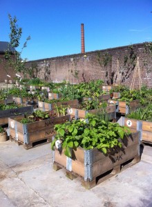 moestuinbakken eerste seizoen