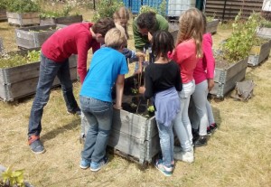 Kindermoestuinworkshop Wagenwerkplaats